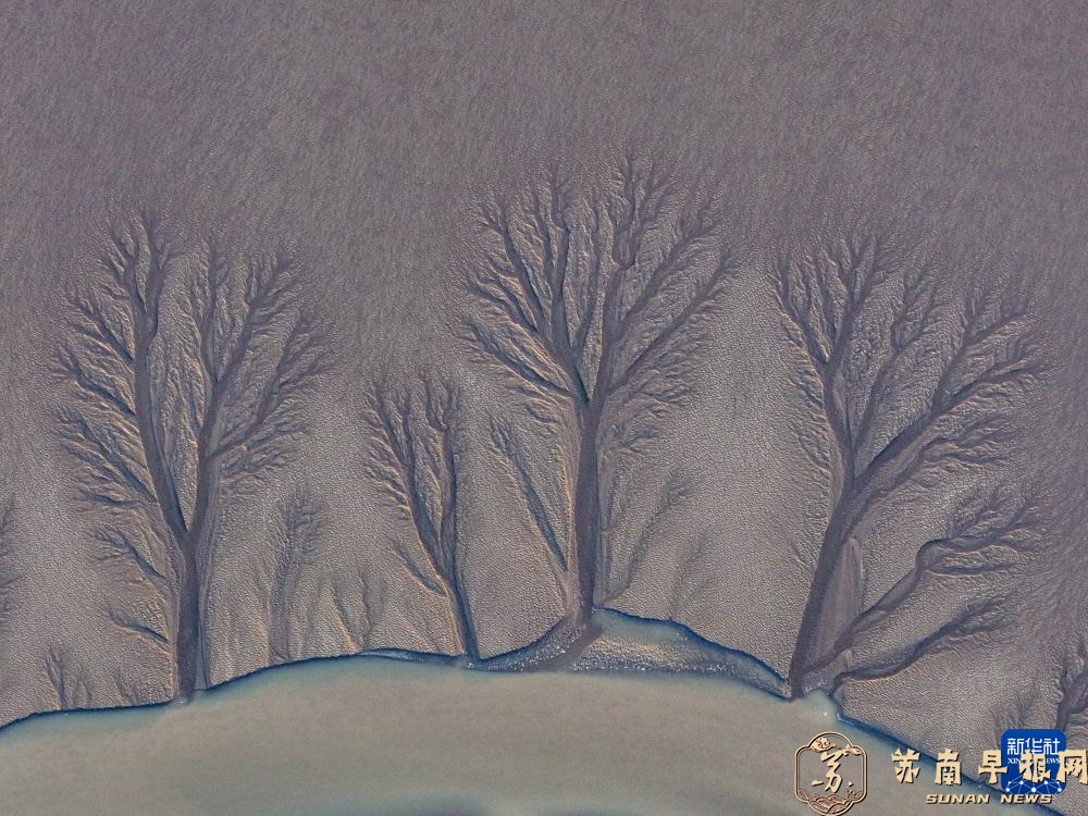 中国之城｜盐城：潮汐孕育的&ldquo;湿地绿城&rdquo;