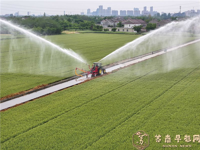 江苏泰州：田间地头耕作忙