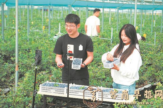 特色种植 促民增收