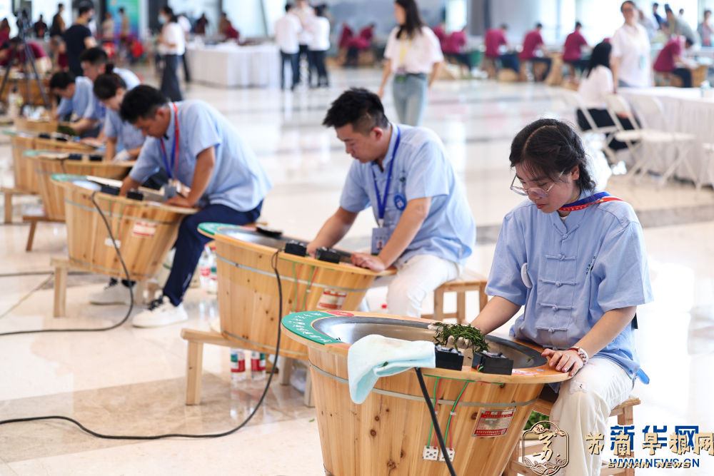 第七届中国国际茶叶博览会在杭州开幕