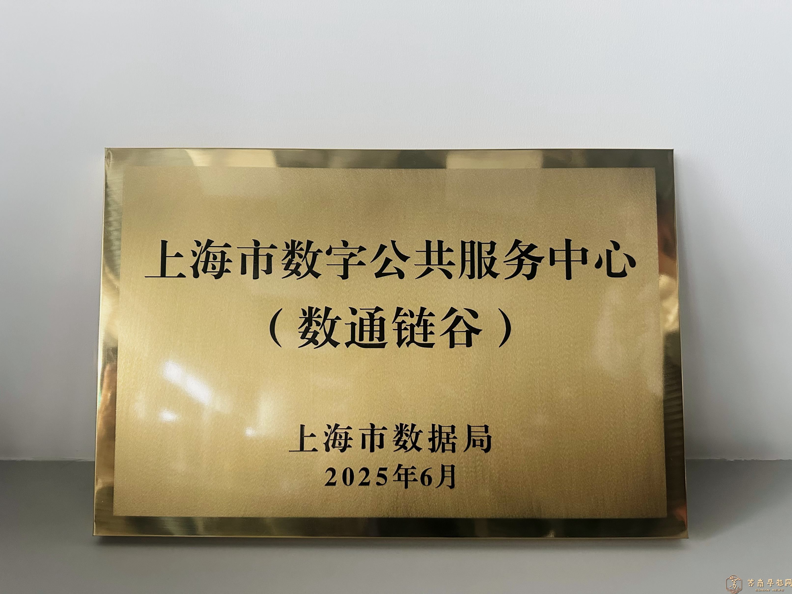 上海市数字公共服务中心（数通链谷）揭牌