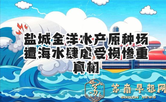 盐城金洋水产原种场遭海水肆虐受损惨重真相