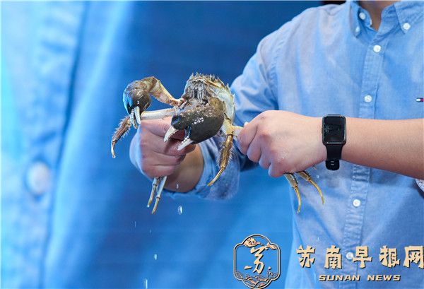 206874b4a01cfe01c527c7a6aa2d0c6b.jpg 5.jpg