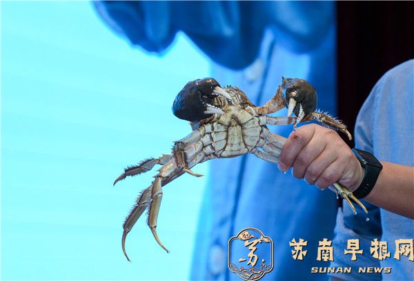 e3326e37f555567549011d20dea7ad4d.jpg 14.jpg