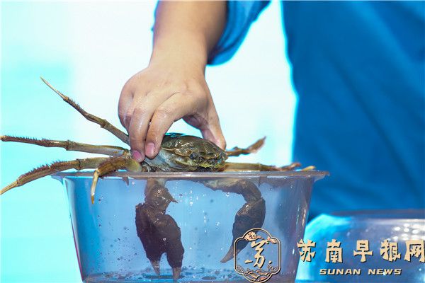 e3b745e1d9559811f5b4d45e649ef7db.jpg 6.jpg