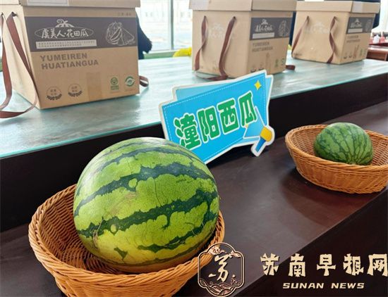 特写｜一颗西瓜的&ldquo;突围&rdquo;之路