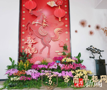 兰香伴年味！第七届花卉文化嘉年华1月16日启幕