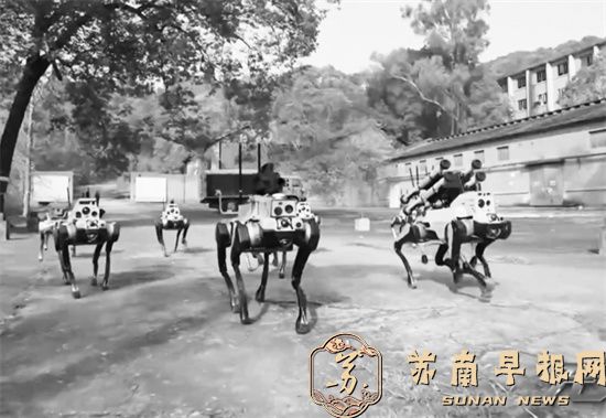 中国机器狼群巷战画面首次公开