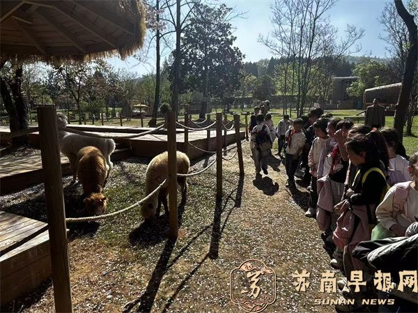 微信图片_2026-04-08_141050_372.jpg