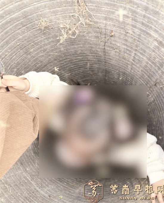 宜兴一公园井盖脱落 一孩童掉了下去&mdash;&mdash;园方：已设围挡将换新井盖