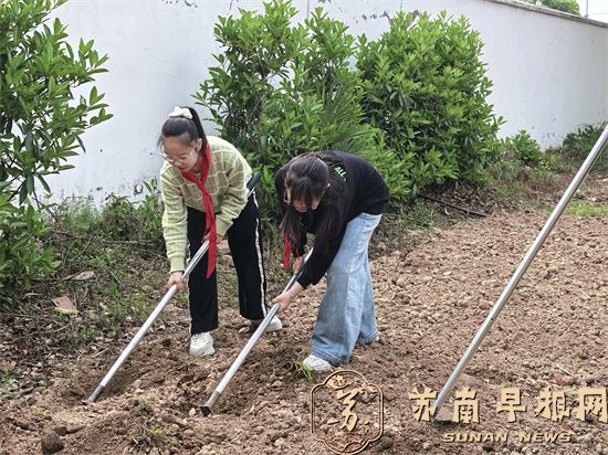 宜兴市周铁镇洋溪小学关工委：开展种植活动 体验劳动艰辛     