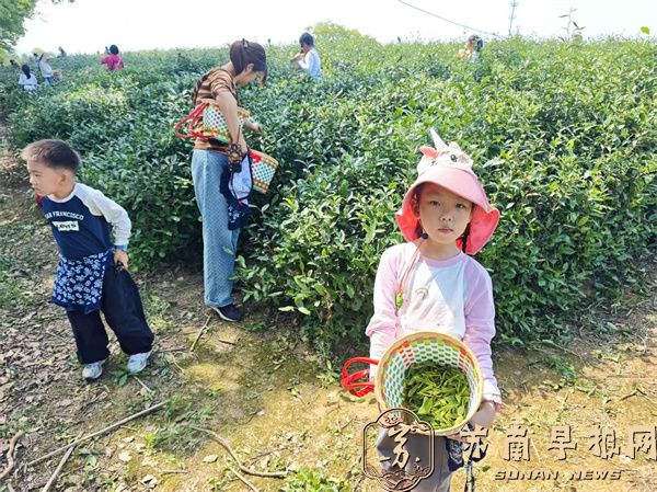 微信图片_2026-04-27_104333_823.jpg