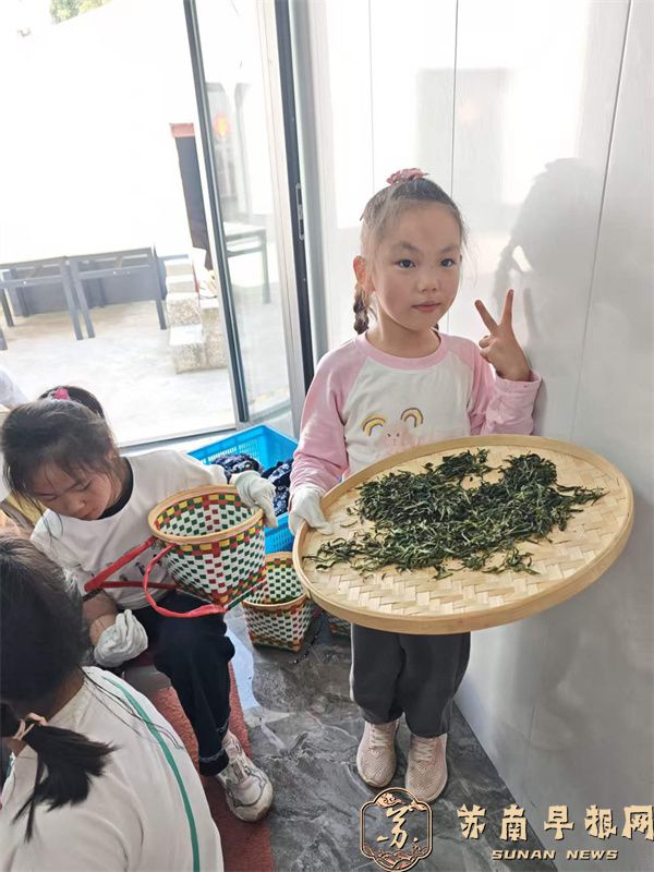 微信图片_2026-04-27_104319_647.jpg