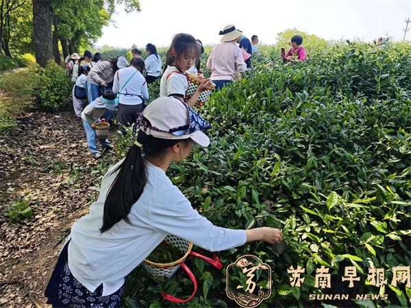 微信图片_2026-04-27_104339_386.jpg