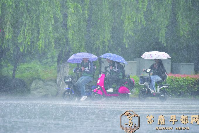 5预警齐发，本轮降雨为何极端性如此突出