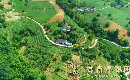 图片2.png