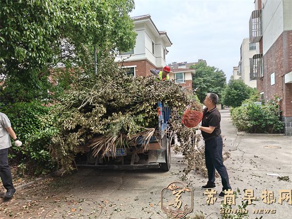 QQ图片20260603161254.jpg