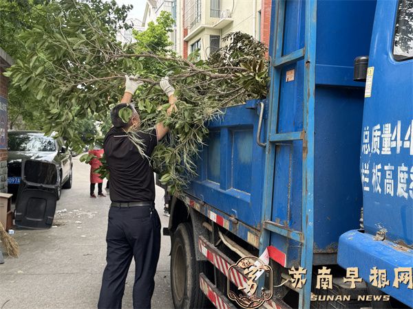 句容市城管局机关党支部开展普法宣传进社区活动