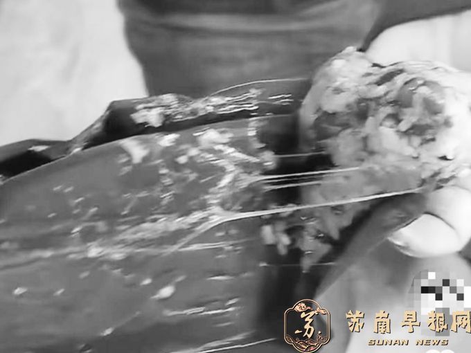 粽子吃出&ldquo;超长拉丝&rdquo;，是真菌菌丝？
