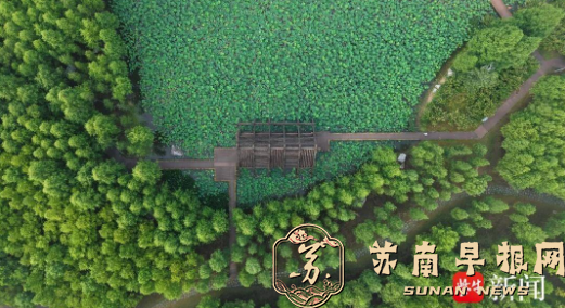 暑趣江海，好玩一夏！这个暑期怎么玩，南通给你安排好啦