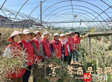 177个项目惠及群众超30万人次 海安&ldquo;公益试验田&rdquo;结硕果