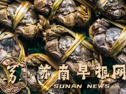 网传大闸蟹&ldquo;全面滞销&rdquo;？记者调查最新行情&rarr;