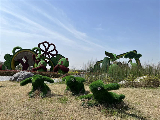 苏州相城区：“项目为王”聚合力 实干出彩开“新”局8.jpg