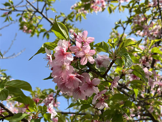 苏州相城区：“项目为王”聚合力 实干出彩开“新”局9.jpg