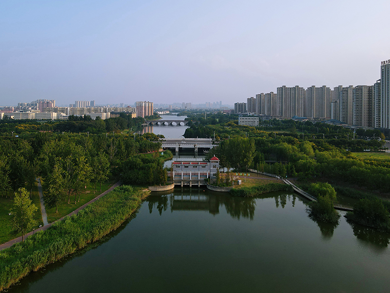 陵西湖公园一隅。人民网记者 王晓飞摄