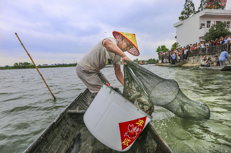螃蟹开捕。王文生供图