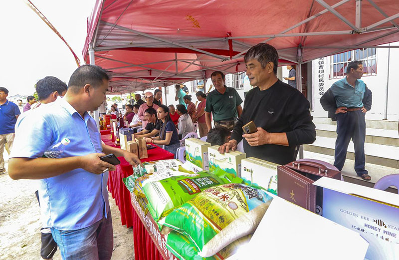 农产品展示。王文生供图