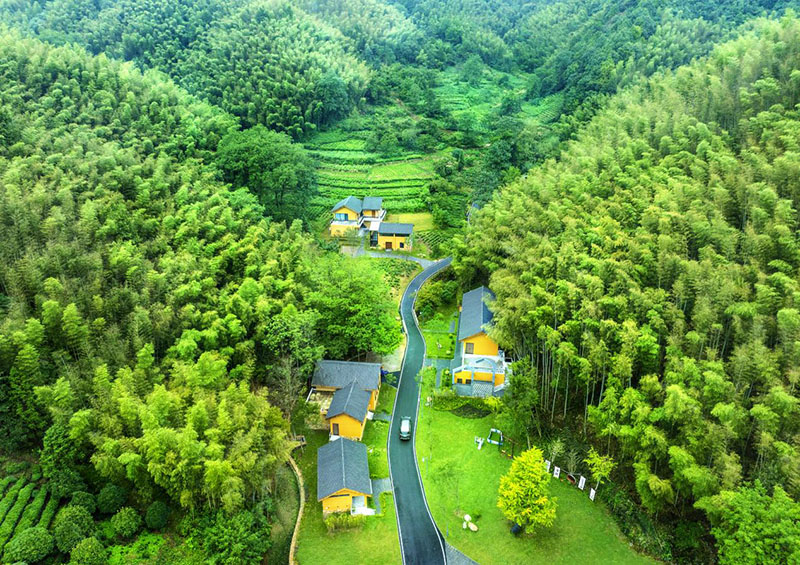 大别山区优越的自然生态环境。