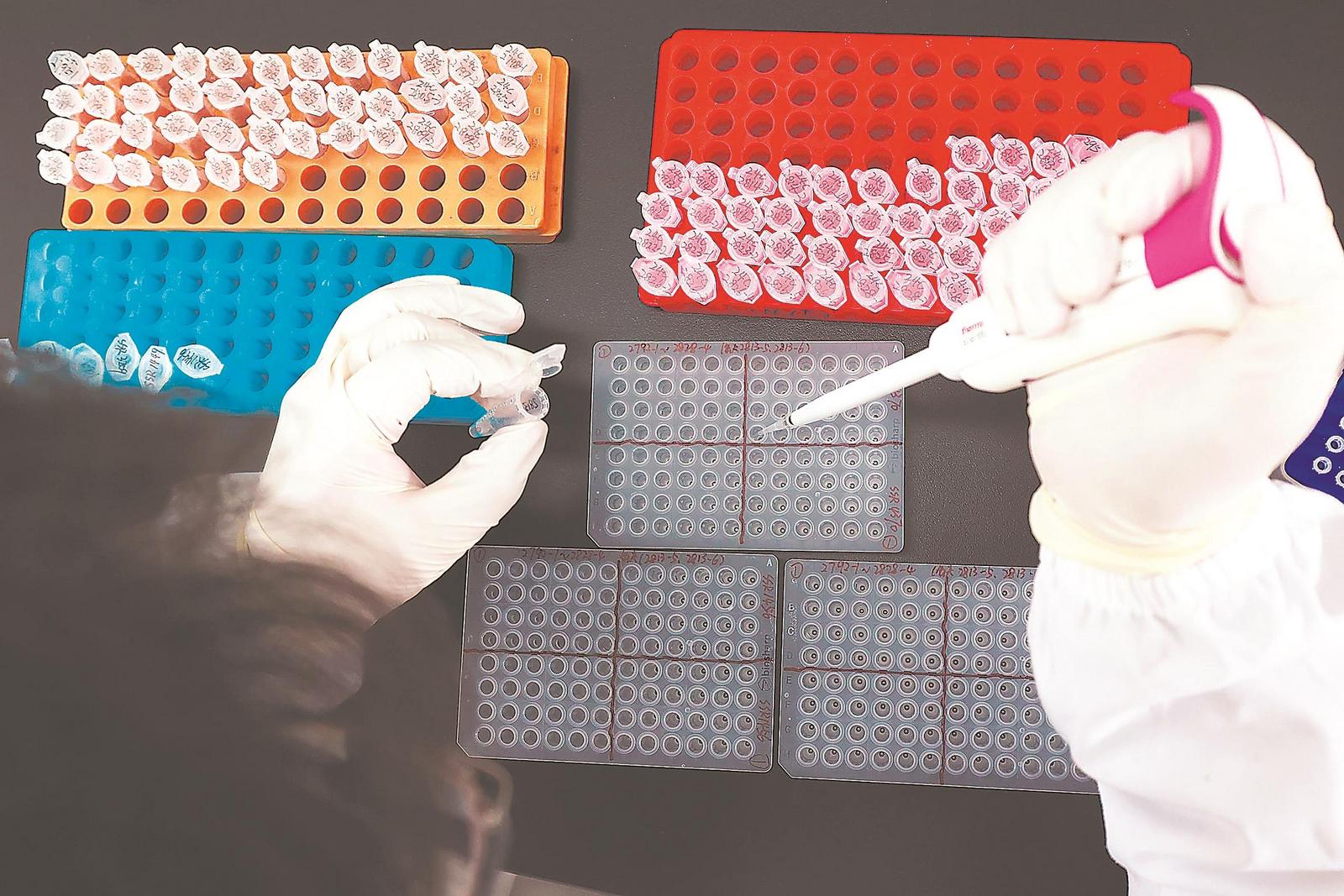 10月25日,安徽省农科院水稻功能基因开发团队实验室里,科研人员正在进行功能基因标记多态性检测。