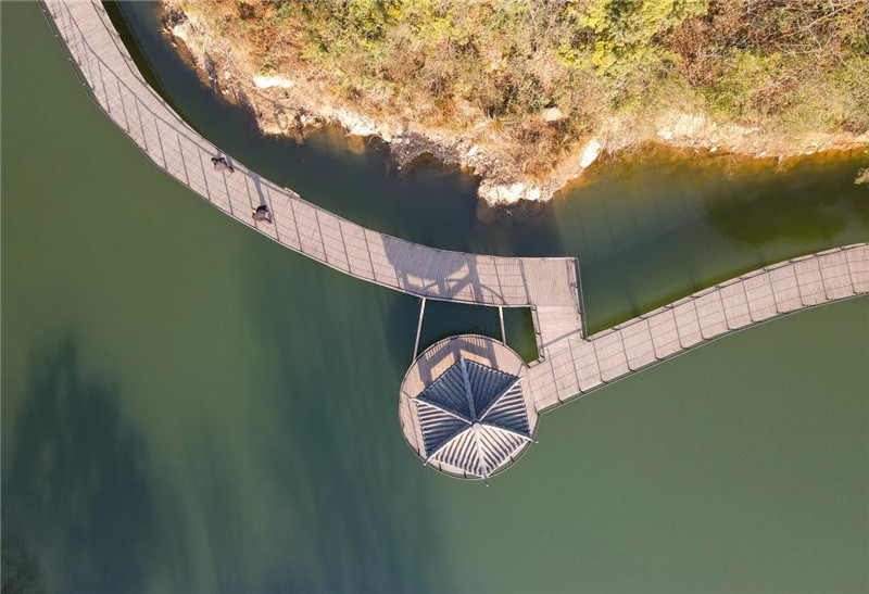 山村田园风情民宿与绿水青山以及周边竹海构成一幅美丽的田园乡旅画卷。