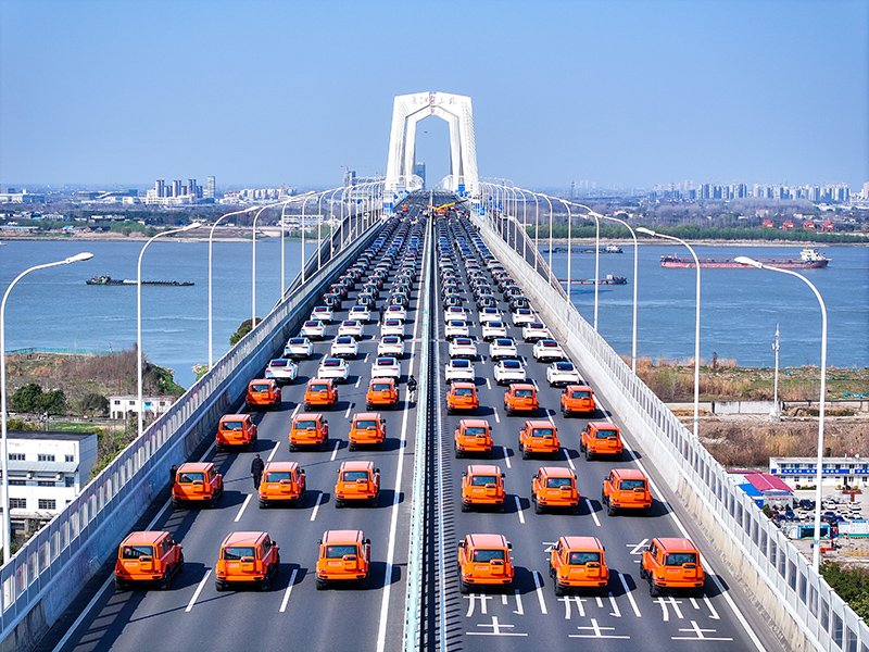 奇瑞百车智驾方阵。刘俊才摄