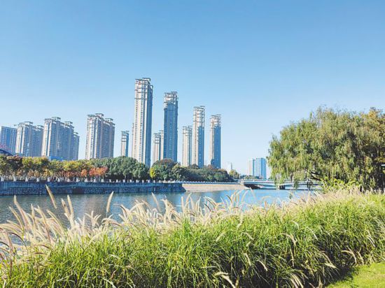 瑶海区滨河公园南淝河沿岸风光秀美。 夏漫宏 摄