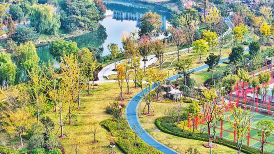 蜀山区南淝河游园色彩斑斓，景美如画。 陈三虎 摄