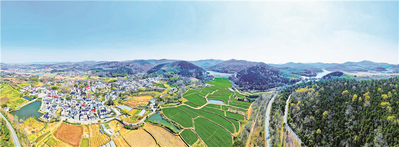 濮塘春景。唐焱摄