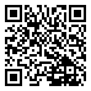 国内首艘甲醇双燃料大型集装箱船在扬州出坞