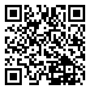 江苏射阳：菊花采收忙