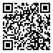 江苏连云港：成群反嘴鹬享冬日暖阳