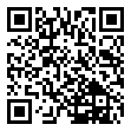 上海双向奔赴记