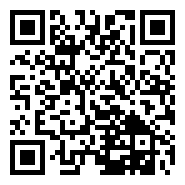 合肥市内梅花次第绽放